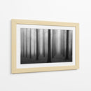 Bosque misterioso y brumoso - Jochen Bongaerts | Cuadro decorativo de Canvas Lab