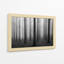 Bosque misterioso y brumoso - Jochen Bongaerts | Cuadro decorativo de Canvas Lab