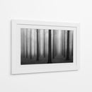 Bosque misterioso y brumoso - Jochen Bongaerts | Cuadro decorativo de Canvas Lab