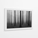 Bosque misterioso y brumoso - Jochen Bongaerts | Cuadro decorativo de Canvas Lab