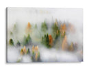 Bosque brumoso de otoño - Kristjan Rems | Cuadro decorativo de Canvas Lab