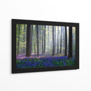 Bosque de campanillas en la niebla - Adrian Popan | Cuadro decorativo de Canvas Lab