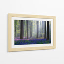 Bosque de campanillas en la niebla - Adrian Popan | Cuadro decorativo de Canvas Lab