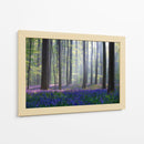 Bosque de campanillas en la niebla - Adrian Popan | Cuadro decorativo de Canvas Lab