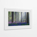 Bosque de campanillas en la niebla - Adrian Popan | Cuadro decorativo de Canvas Lab