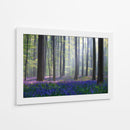 Bosque de campanillas en la niebla - Adrian Popan | Cuadro decorativo de Canvas Lab