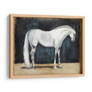 Estudios Ecuestres V - Naomi McCavitt | Cuadro decorativo de Canvas Lab