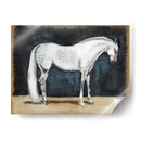 Estudios Ecuestres V - Naomi McCavitt | Cuadro decorativo de Canvas Lab