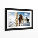 Caballos islandeses curiosos - Mike Leske | Cuadro decorativo de Canvas Lab