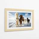 Caballos islandeses curiosos - Mike Leske | Cuadro decorativo de Canvas Lab