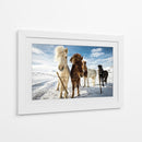Caballos islandeses curiosos - Mike Leske | Cuadro decorativo de Canvas Lab