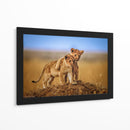 Cachorros de león juguetones - Jeffrey C. Sink | Cuadro decorativo de Canvas Lab