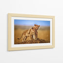 Cachorros de león juguetones - Jeffrey C. Sink | Cuadro decorativo de Canvas Lab