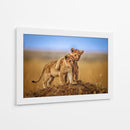 Cachorros de león juguetones - Jeffrey C. Sink | Cuadro decorativo de Canvas Lab