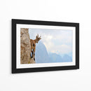 Cabra montés curiosa - Stefano Zocca | Cuadro decorativo de Canvas Lab
