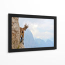 Cabra montés curiosa - Stefano Zocca | Cuadro decorativo de Canvas Lab