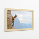 Cabra montés curiosa - Stefano Zocca | Cuadro decorativo de Canvas Lab