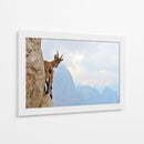 Cabra montés curiosa - Stefano Zocca | Cuadro decorativo de Canvas Lab