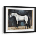 Estudios Ecuestres Vi - Naomi McCavitt | Cuadro decorativo de Canvas Lab