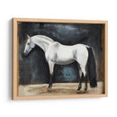 Estudios Ecuestres Vi - Naomi McCavitt | Cuadro decorativo de Canvas Lab