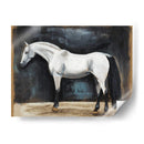 Estudios Ecuestres Vi - Naomi McCavitt | Cuadro decorativo de Canvas Lab