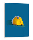 Carpa - Nicholas | Cuadro decorativo de Canvas Lab