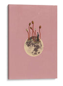 Crecimiento Lunar - Dominik Przerwa | Cuadro decorativo de Canvas Lab