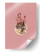 Crecimiento Lunar - Dominik Przerwa | Cuadro decorativo de Canvas Lab