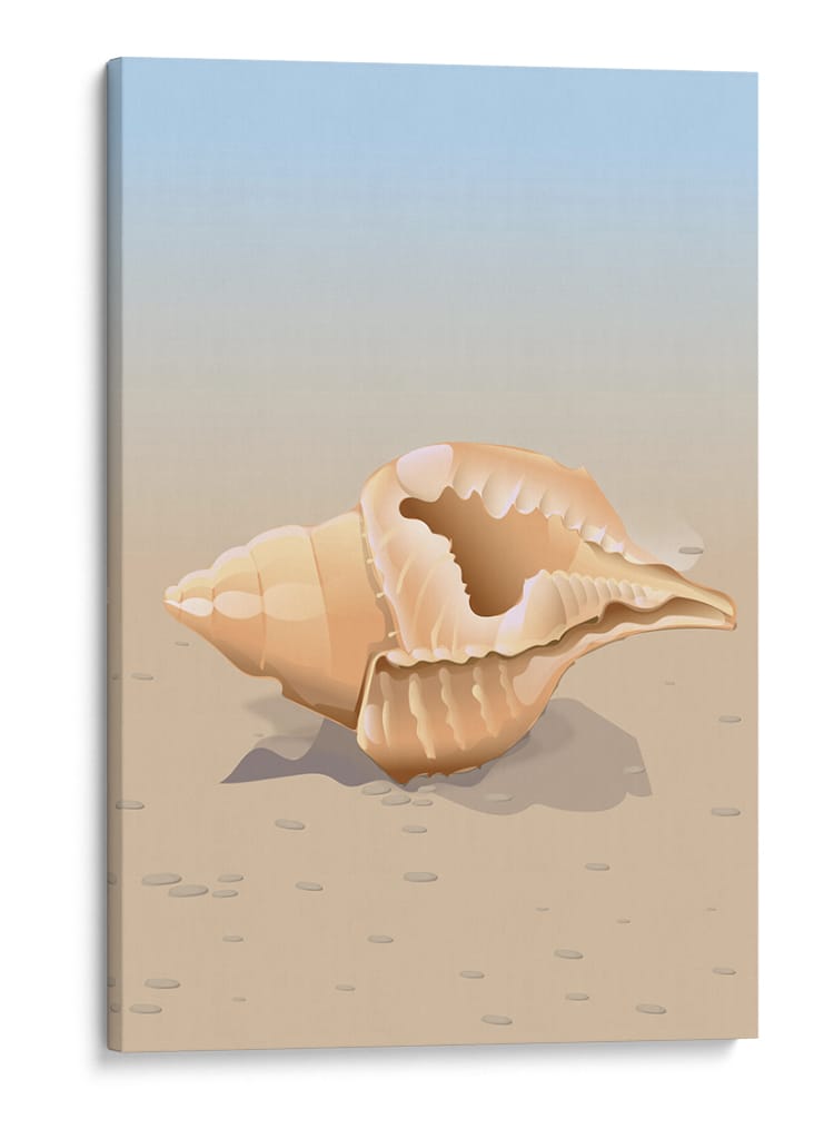 Concha en una playa de arena - Nicholas | Cuadro decorativo de Canvas Lab