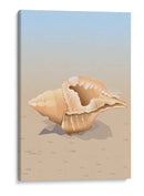 Concha en una playa de arena - Nicholas | Cuadro decorativo de Canvas Lab