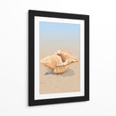 Concha en una playa de arena - Nicholas | Cuadro decorativo de Canvas Lab