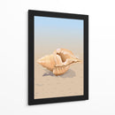 Concha en una playa de arena - Nicholas | Cuadro decorativo de Canvas Lab