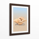 Concha en una playa de arena - Nicholas | Cuadro decorativo de Canvas Lab