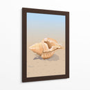 Concha en una playa de arena - Nicholas | Cuadro decorativo de Canvas Lab