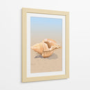 Concha en una playa de arena - Nicholas | Cuadro decorativo de Canvas Lab