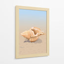Concha en una playa de arena - Nicholas | Cuadro decorativo de Canvas Lab