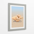 Concha en una playa de arena - Nicholas | Cuadro decorativo de Canvas Lab