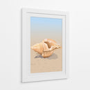 Concha en una playa de arena - Nicholas | Cuadro decorativo de Canvas Lab