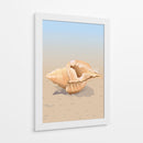 Concha en una playa de arena - Nicholas | Cuadro decorativo de Canvas Lab