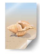 Concha en una playa de arena - Nicholas | Cuadro decorativo de Canvas Lab