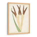 Fernia De Helecho Ii - Lowe | Cuadro decorativo de Canvas Lab