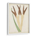 Fernia De Helecho Ii - Lowe | Cuadro decorativo de Canvas Lab