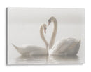 Cisnes enamorados - Monika Schwager | Cuadro decorativo de Canvas Lab
