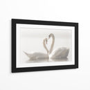 Cisnes enamorados - Monika Schwager | Cuadro decorativo de Canvas Lab