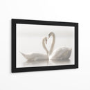 Cisnes enamorados - Monika Schwager | Cuadro decorativo de Canvas Lab