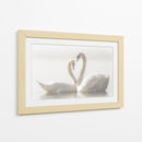 Cisnes enamorados - Monika Schwager | Cuadro decorativo de Canvas Lab