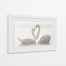 Cisnes enamorados - Monika Schwager | Cuadro decorativo de Canvas Lab