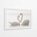 Cisnes enamorados - Monika Schwager | Cuadro decorativo de Canvas Lab