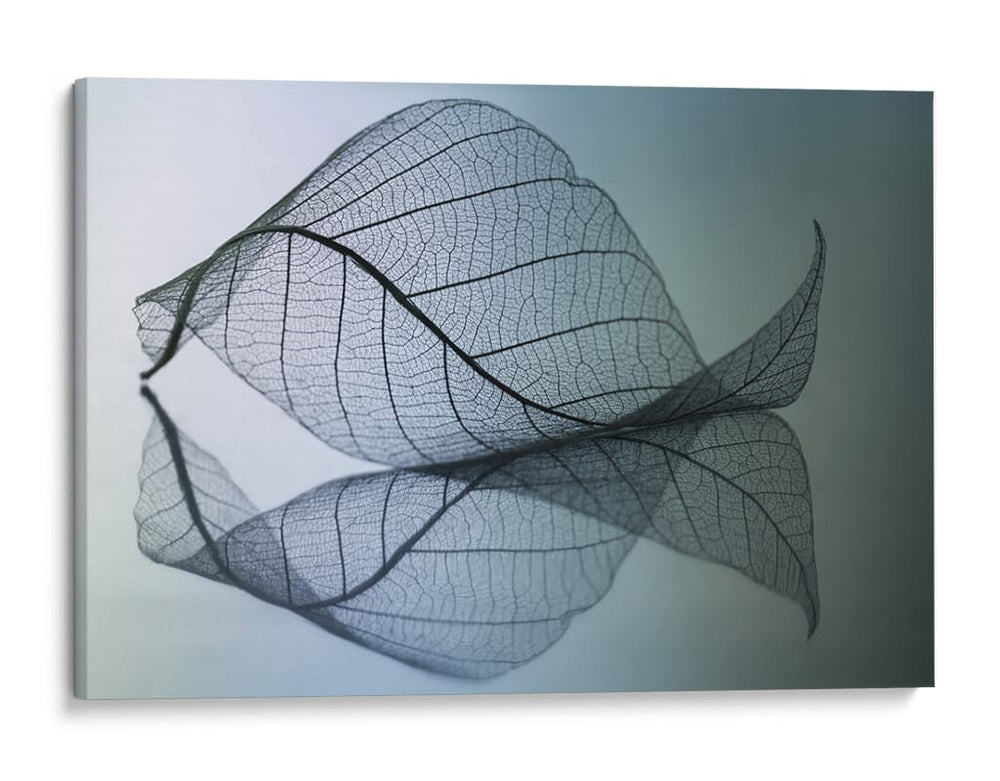 Curvatura - Shihya Kowatari | Cuadro decorativo de Canvas Lab