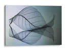 Curvatura - Shihya Kowatari | Cuadro decorativo de Canvas Lab